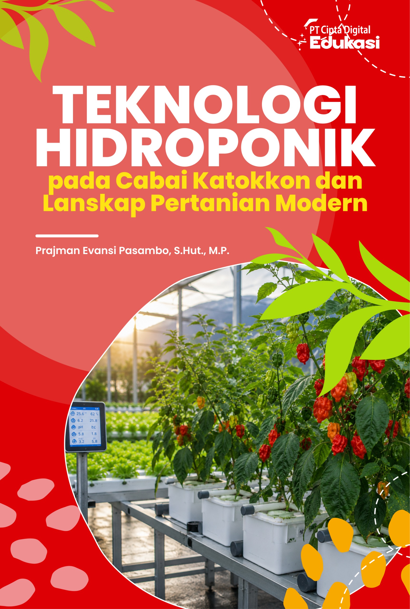 Teknologi Hidroponik pada Cabai Katokkon dan Lanskap Pertanian Modern